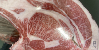 画像:最優秀賞(チャンピオン)受賞牛 第25回　家畜事業神戸ビーフ共励会