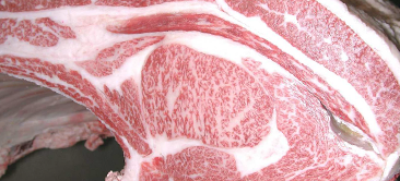 画像:優秀賞　受賞牛 令和6年度(374回) 神戸ビーフ品評会