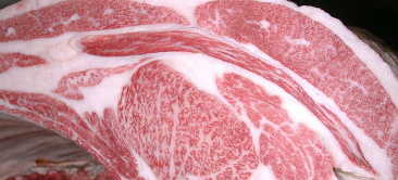 画像:優秀賞　受賞牛 第60回 全畜産連歳末連合神戸ビーフ共励会