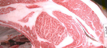 画像:最優秀賞(チャンピオン)受賞牛 第26回 JA兵庫六甲牛枝肉共励会（神戸ビーフコンテスト）