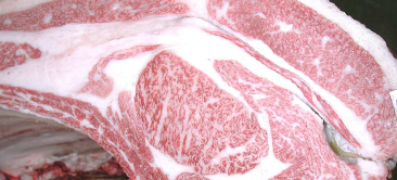 画像:最優秀賞(チャンピオン)受賞牛 第247回 神戸ビーフ枝肉共励会