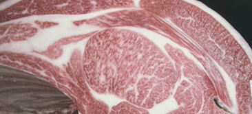 画像:最優秀賞(チャンピオン)受賞牛 令和7年度 全畜連神戸ビーフグランドチャンピオン共励会