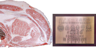 画像:最優秀賞(チャンピオン)受賞牛 平成22年度(第160回) 神戸肉枝肉共励会