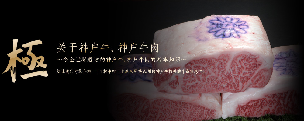关于神户牛、神户牛肉